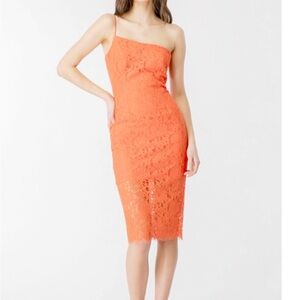 Bardot Orange Lace Dress